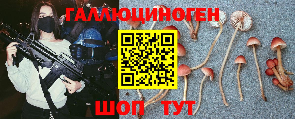 Галлюциногенные грибы MAGIC MUSHROOMS Фрязино