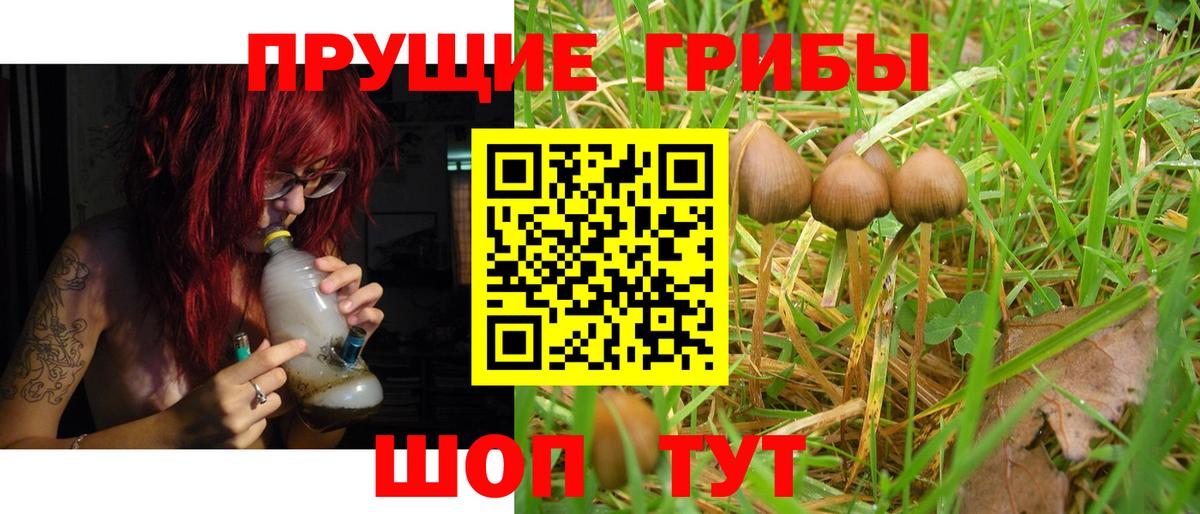 Галлюциногенные грибы Psilocybe  Вход с VPN  где продают   Фрязино 